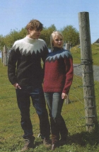 SNFELLSJKULL sweater 27-9